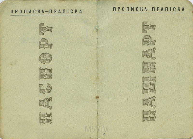 KKE 5422-7.jpg - (rosyjski) Dok. Paszport Emilii W (z domu Małyszko), 1941 r.